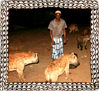 Hyena man of Harar