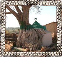 Muslim Mosk in Harar 
