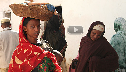 Muslim walled city of Harar