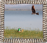Fish Eagle, on tha Lake Awassa