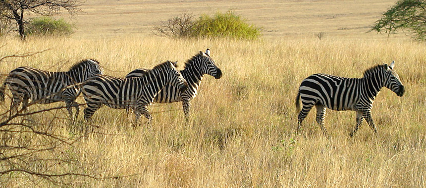 Rift Valley Ethiopia