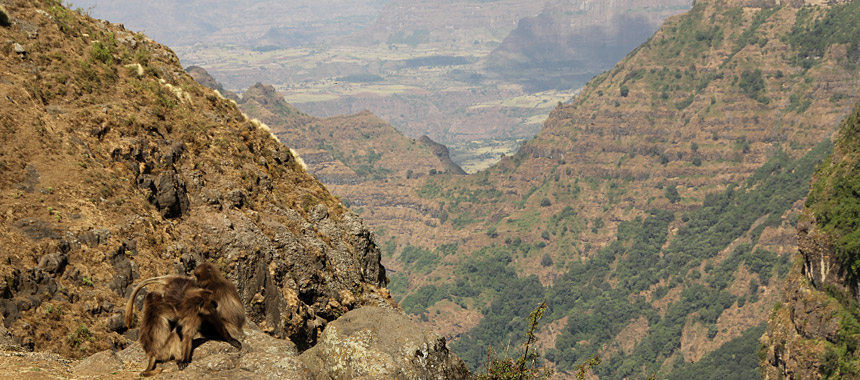 Simien Mountains Ethiopia