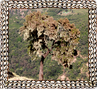 Simien Mountains