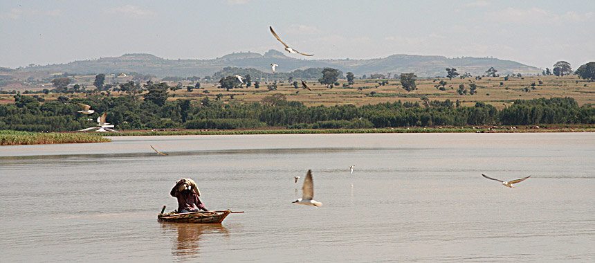 Lake Tana