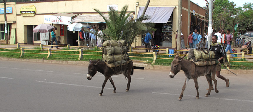 Bahir Dar Ethiopia