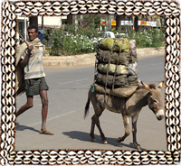 Dunky in Bahir Dar