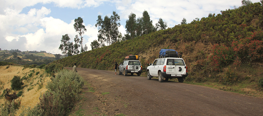Bale Mountains Ethiopia