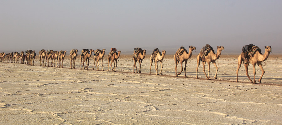 Ethiopia in photos