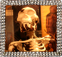 Lucy lived 3.2 million years ago