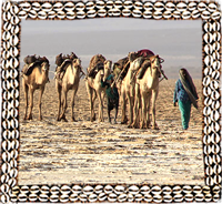Salt Caravan