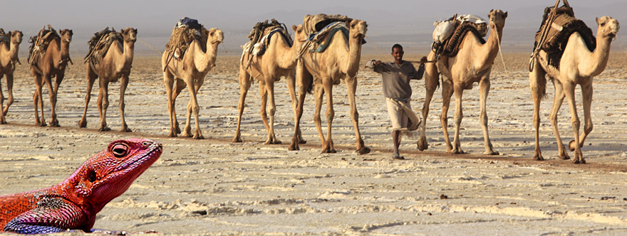 visit Ethiopia